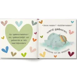 Babyboek 