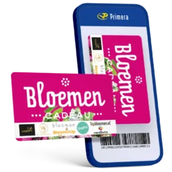 Bloemen Cadeau
