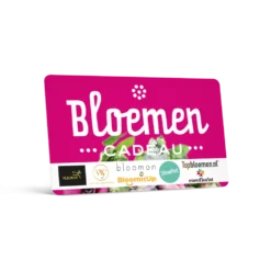 Bloemen Cadeau
