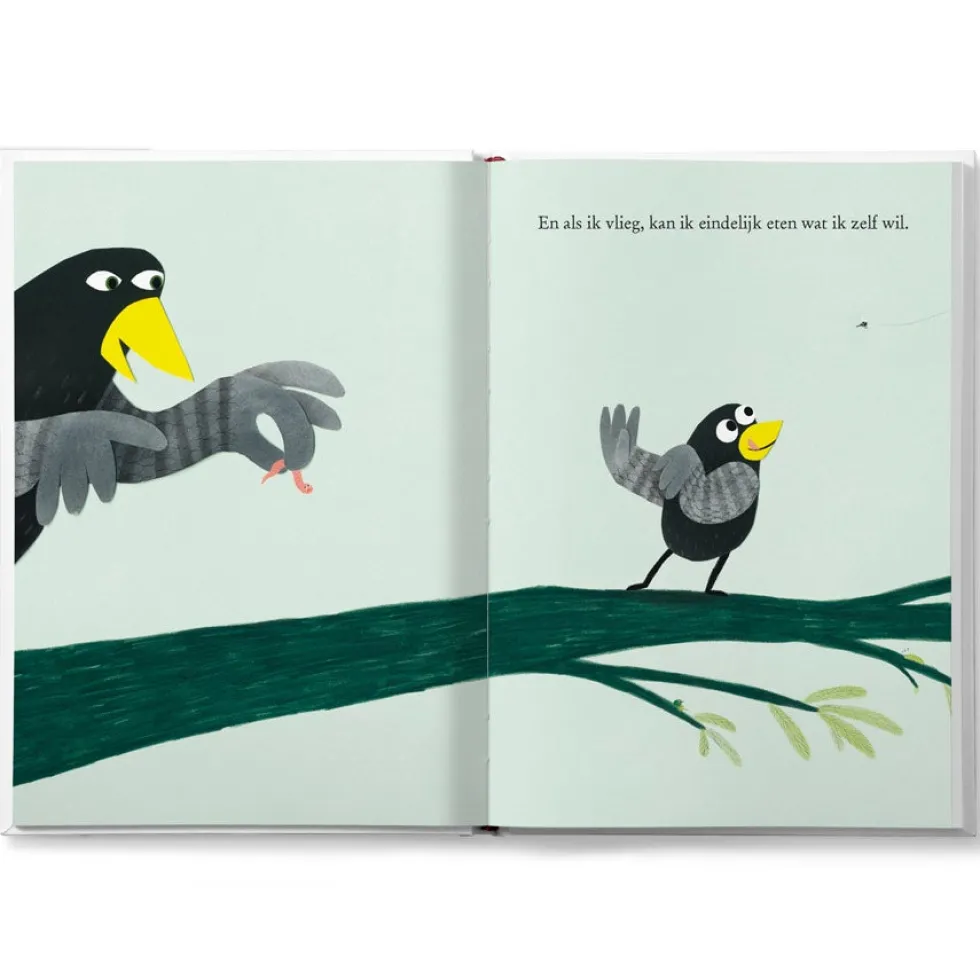 Boek "Coco kan het!" personaliseren