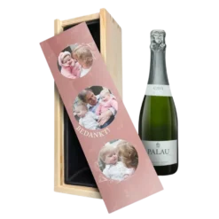 Cava Palau Gazo Brut