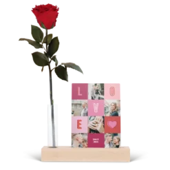 Eeuwige roos met foto standaard