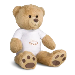 Grote knuffelbeer met foto