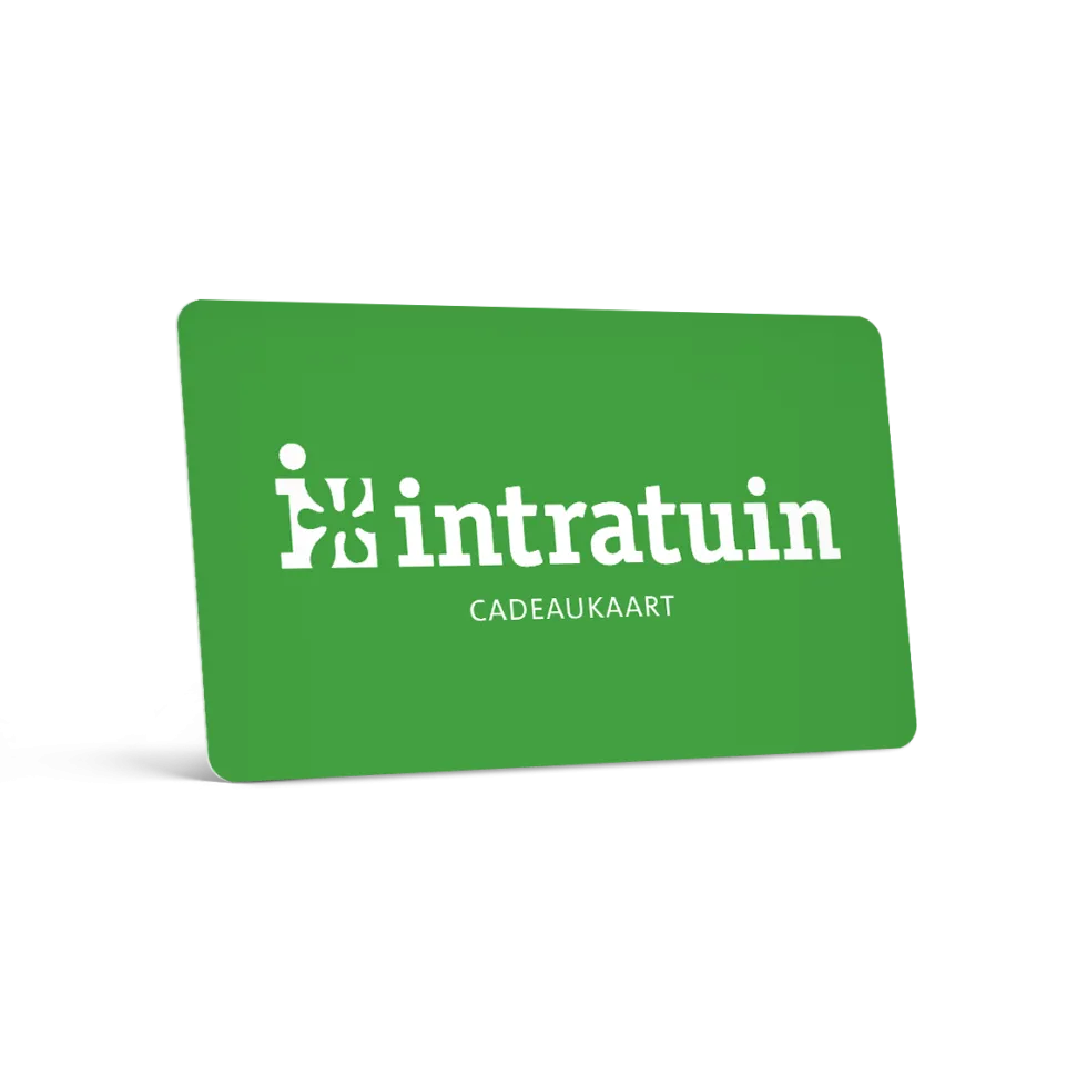 Intratuin Cadeaukaart