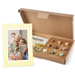 Zaadbommetjes cadeau